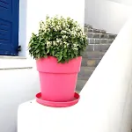 La Casa * Naousa