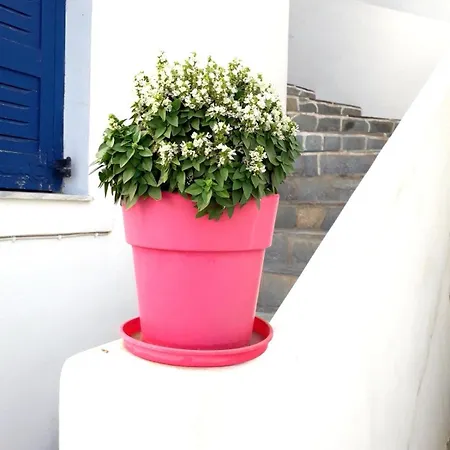 La Casa * Naoussa